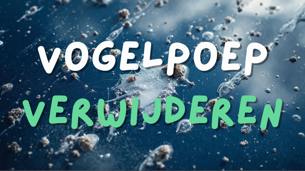 Vogelpoep verwijderen auto